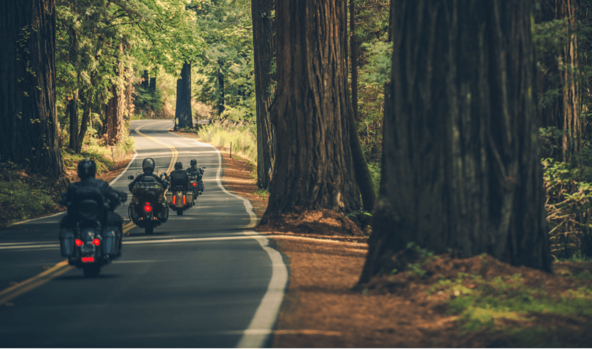 Improve Your Motorcycle Riding Skills 