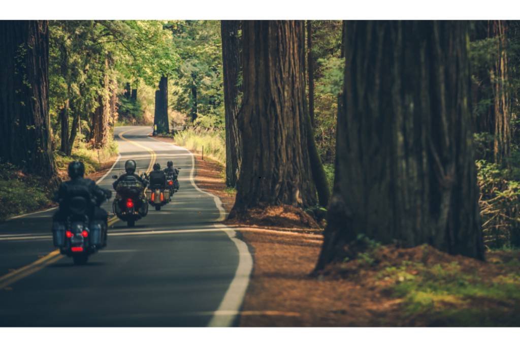 Nova Scotia Motorcycle License